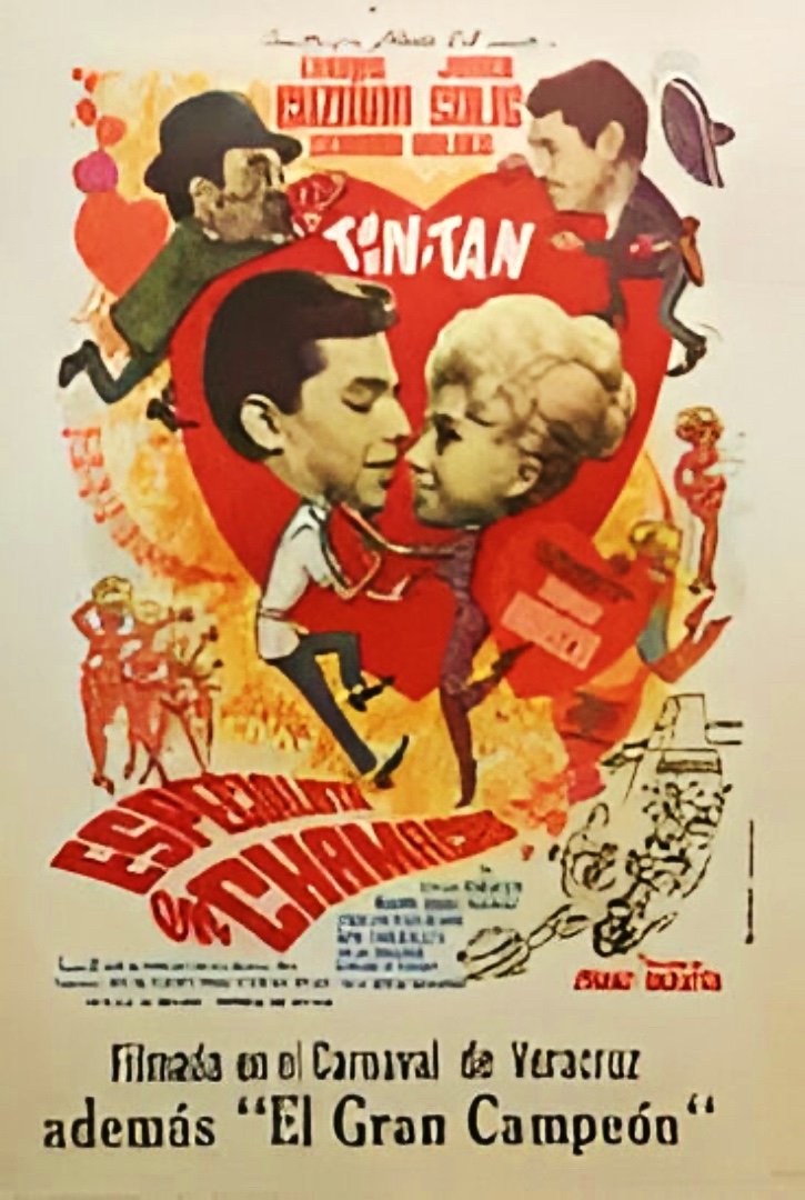 Especialista en chamacas poster