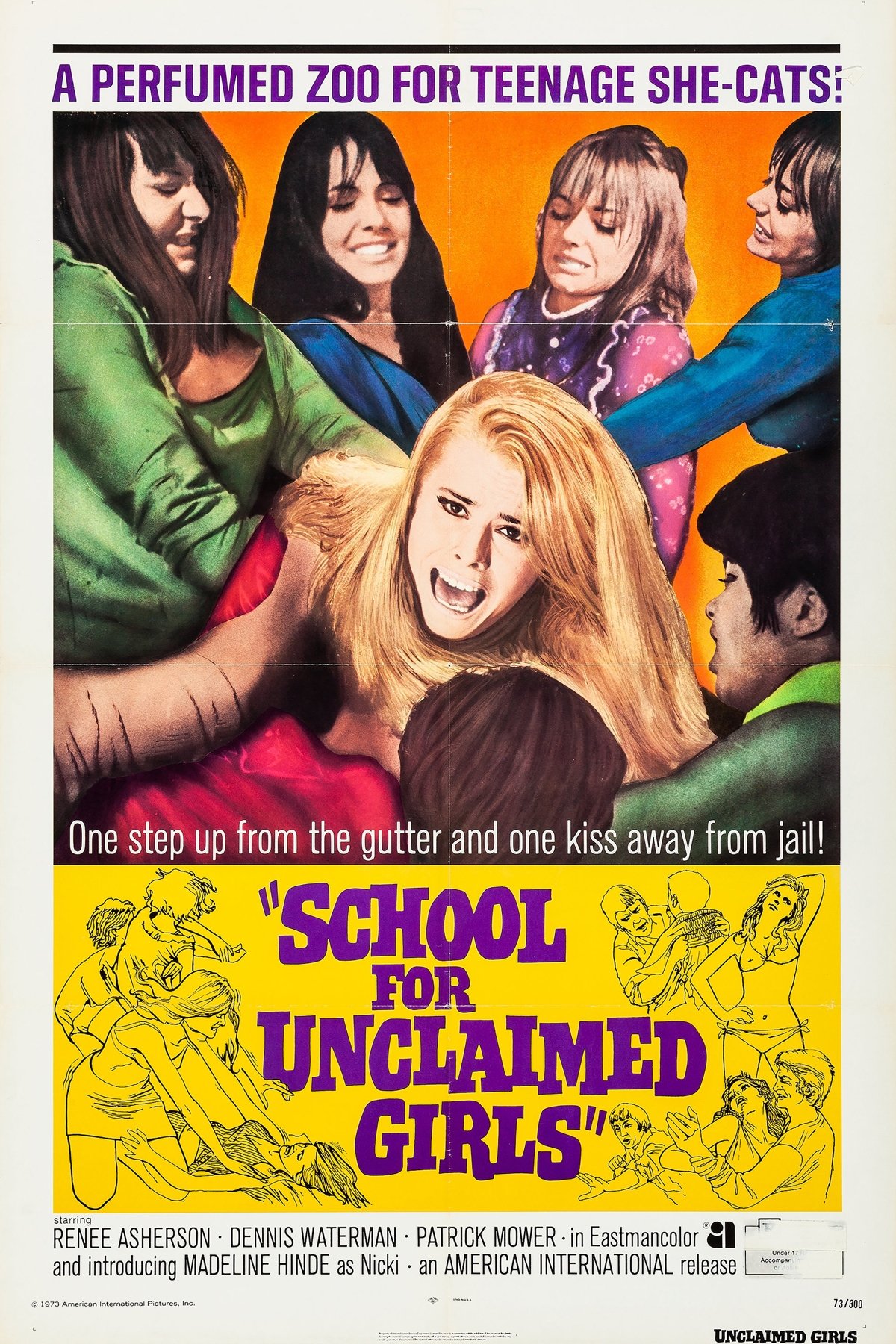The Smashing Bird I Used to Know poster